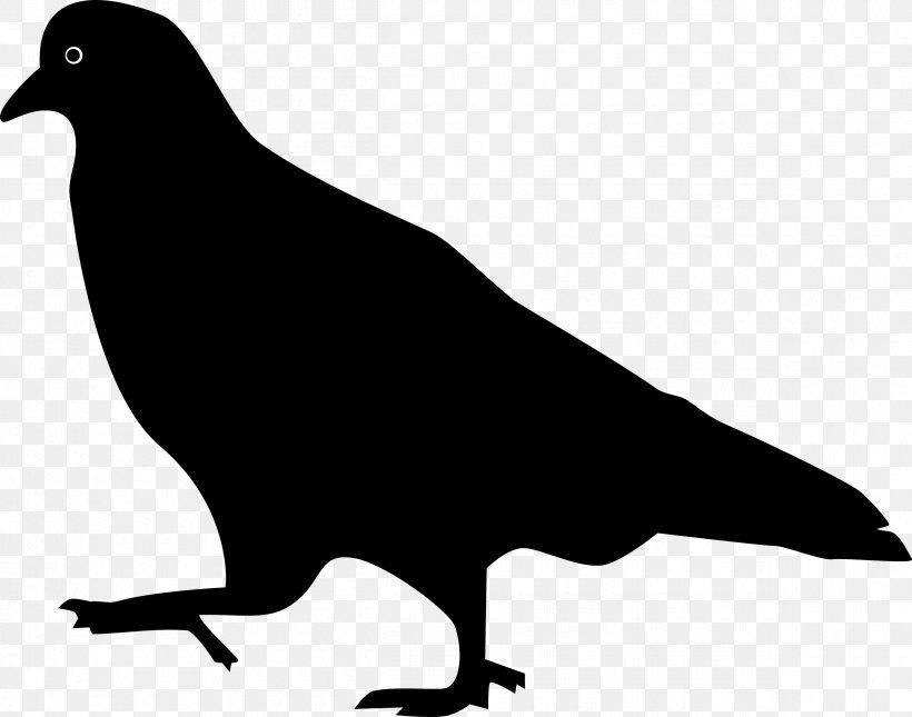 Columbidae Homing Pigeon Bird Clip Art, PNG, 2400x1889px, Columbidae, Beak, Bird, Black And White, Crow Download Free