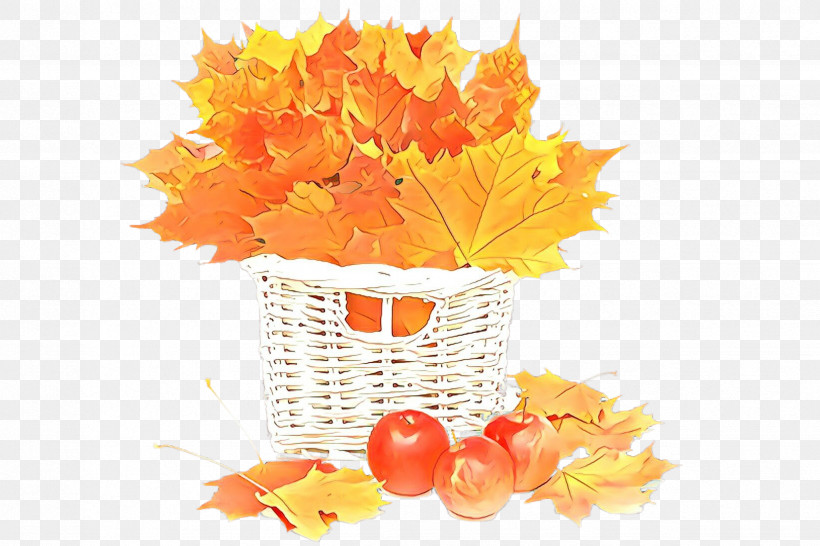 Maple Leaf, PNG, 2448x1632px, Orange, Autumn, Cut Flowers, Flower, Leaf Download Free