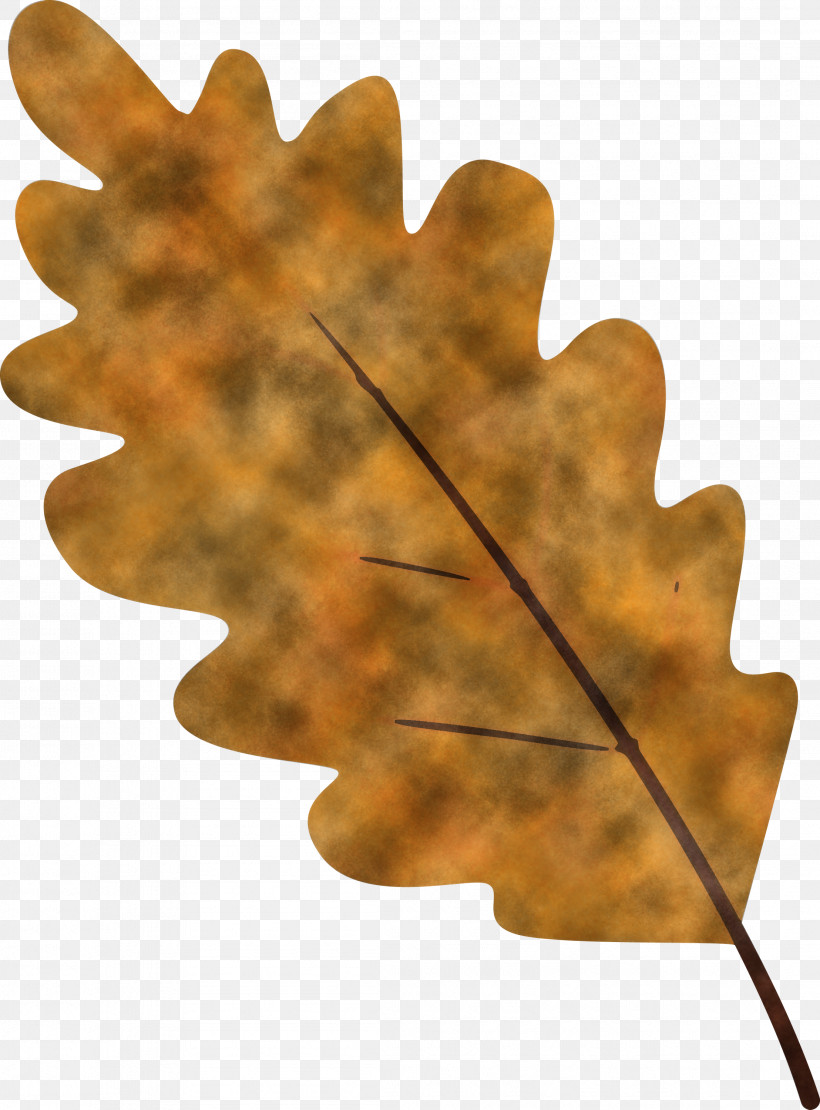 Maple Leaf, PNG, 2216x3000px, Watercolor Leaf, Black Maple, Flower, Leaf, Maple Leaf Download Free