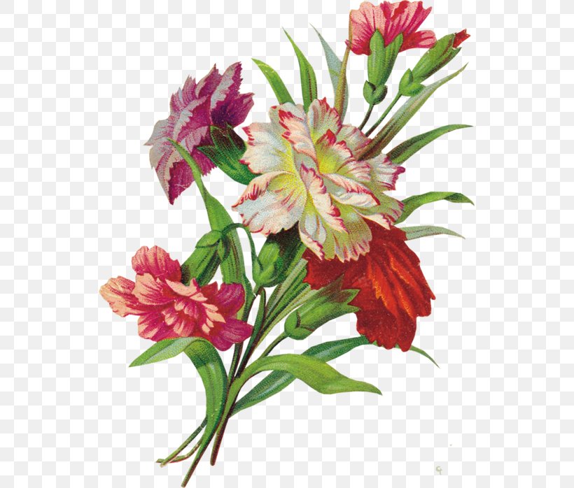Decoupage Flower Paper Art, PNG, 537x698px, Decoupage, Alstroemeriaceae, Annual Plant, Art, Blume Download Free