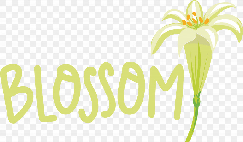 Logo Font Green Flower Fruit, PNG, 5569x3265px, Logo, Flower, Fruit, Green, Meter Download Free