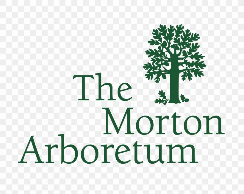 Morton Arboretum Lisle Botanical Garden Tree, PNG, 1564x1244px, Morton Arboretum, Arbnet, Arboretum, Arborist, Botanical Garden Download Free