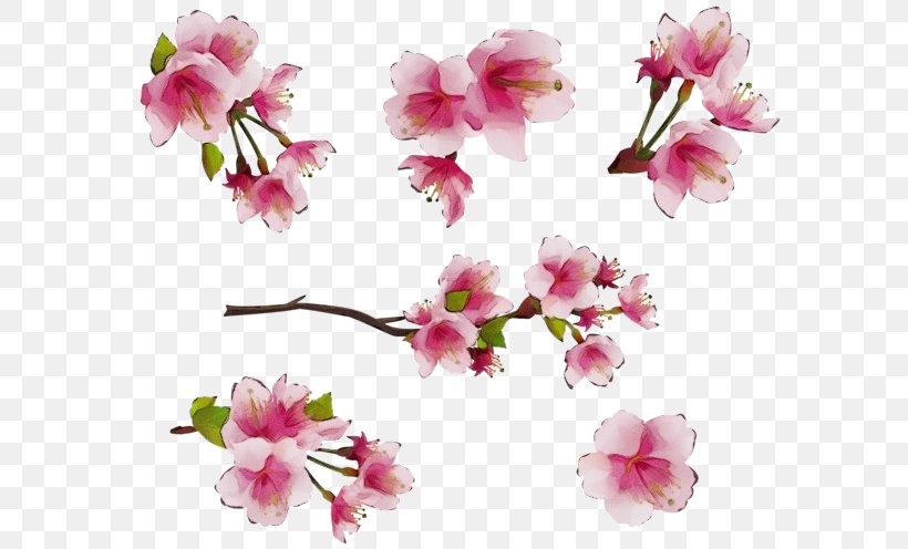 Watercolor Pink Flowers, PNG, 600x496px, Watercolor, Artificial Flower, Blossom, Branch, Cherry Blossom Download Free