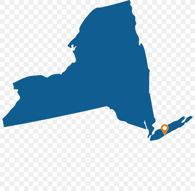 New York City New York State Education Department SouthStar Energy Services LLC Company Law, PNG, 800x800px, New York City, Blue, Company, Energy, Hand Download Free