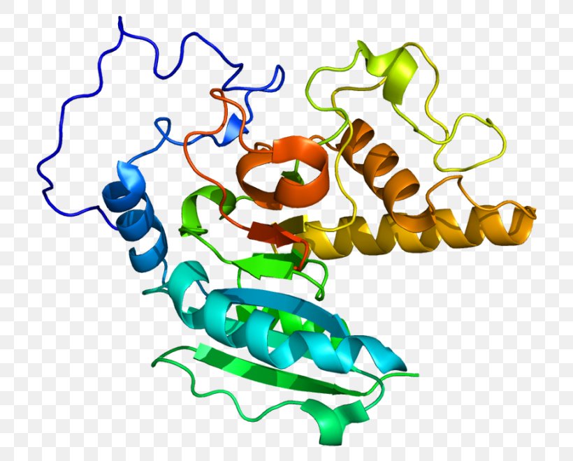 ABO Gene Glycosyltransferase Blood Type, PNG, 760x660px, Abo, Animal Figure, Antibody, Antigen, Area Download Free