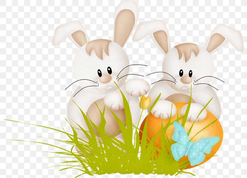 Easter Bunny Domestic Rabbit Brush Rabbit, PNG, 800x590px, Easter Bunny, Brush Rabbit, Cartoon, Convite, Domestic Rabbit Download Free