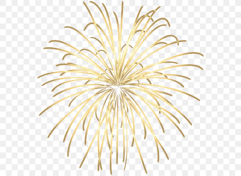 Fireworks Color Clip Art, PNG, 574x600px, Fireworks, Animation, Art, Art Museum, Cartoon Download Free