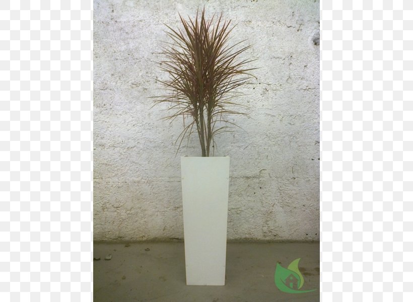 Grasses Vase Branching Family, PNG, 600x600px, Grasses, Branch, Branching, Family, Flowerpot Download Free