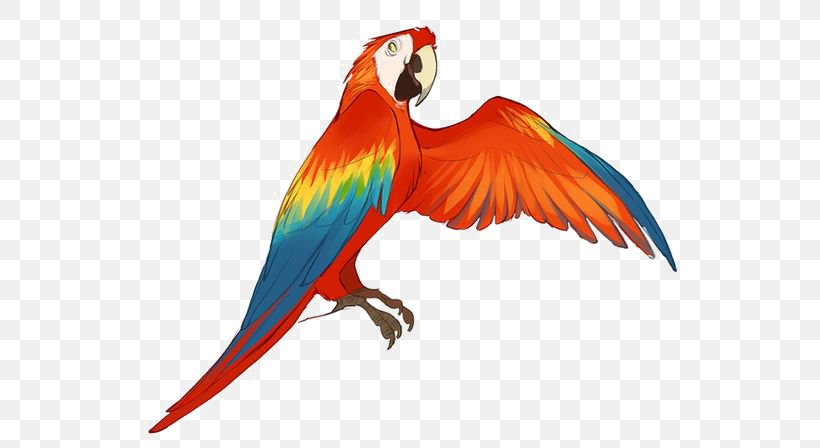 Kinectimals Parrot Macaw Drawing Illustration, PNG, 564x448px, Kinectimals, Animation, Beak, Bird, Cartoon Download Free