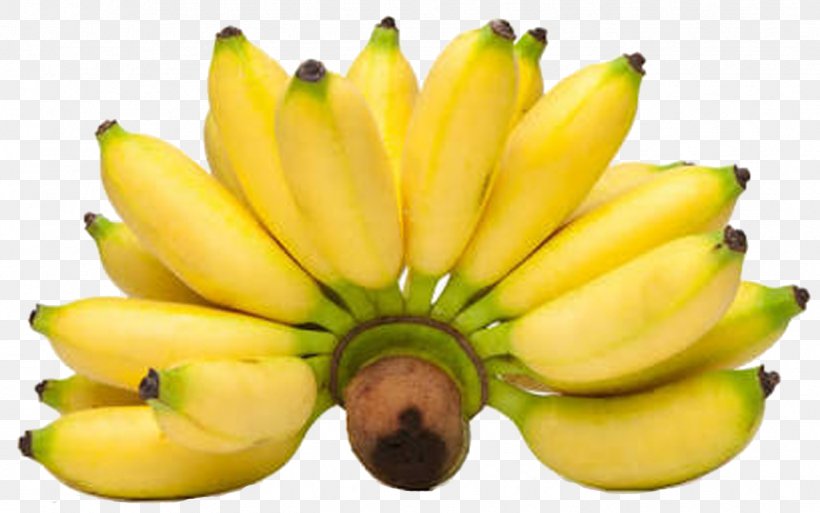 Lady Finger Banana Pisang Goreng Banana Bread Cooking Banana, PNG, 1335x836px, Lady Finger Banana, Accessory Fruit, Banan, Banana, Banana Bread Download Free