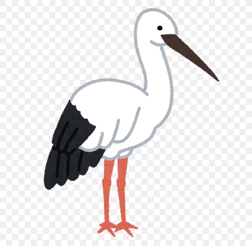 White Stork Crane Bird Beak Oriental Stork, PNG, 691x800px, White Stork, Beak, Bird, Ciconiiformes, Crane Download Free