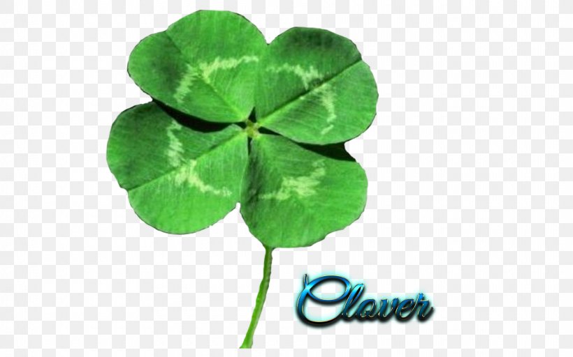 Four-leaf Clover Shamrock Iron Cross Saint Patrick's Day Seed, PNG, 1920x1200px, Watercolor, Cartoon, Flower, Frame, Heart Download Free