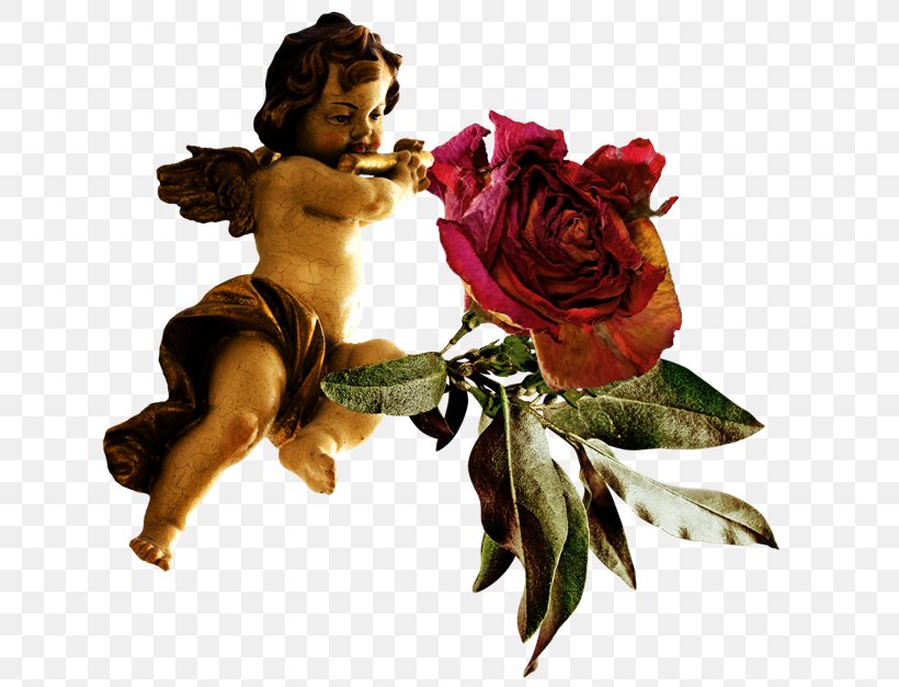 Garden Roses Angel 2403 (عدد) Makhluk Clip Art, PNG, 650x627px, 2016, 2018, Garden Roses, Angel, Author Download Free