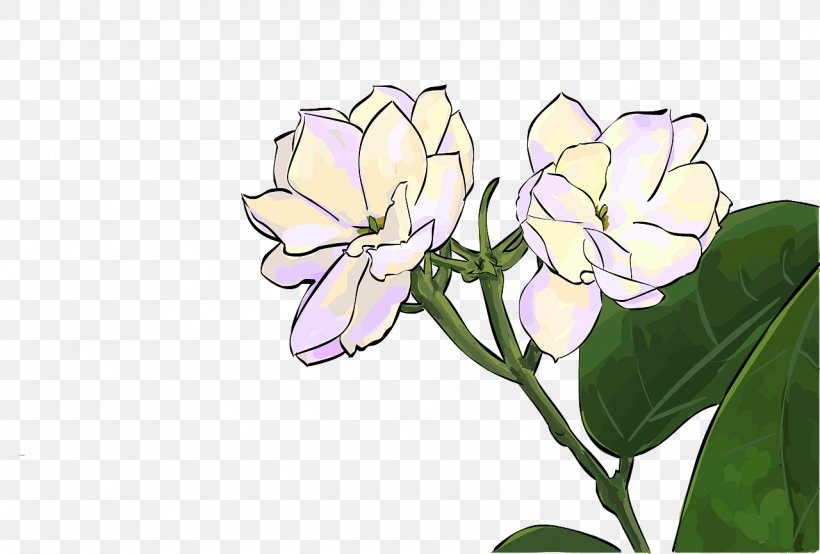 Quanzhou Desktop Wallpaper Flower Illustration Painting, PNG, 1280x866px, Quanzhou, Branch, Copyright, Creative Work, Cut Flowers Download Free