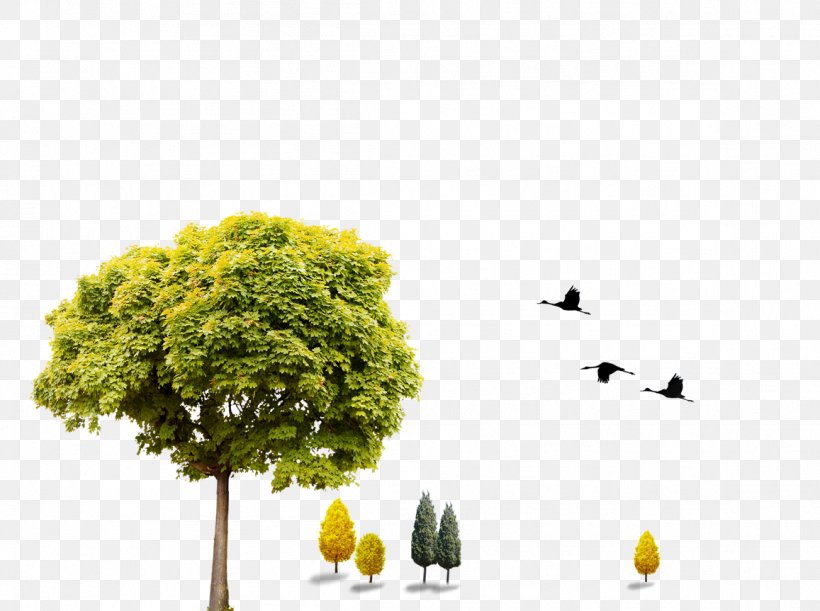Download Computer File, PNG, 1157x863px, Tree, Branch, Business, Deciduous, Flowerpot Download Free