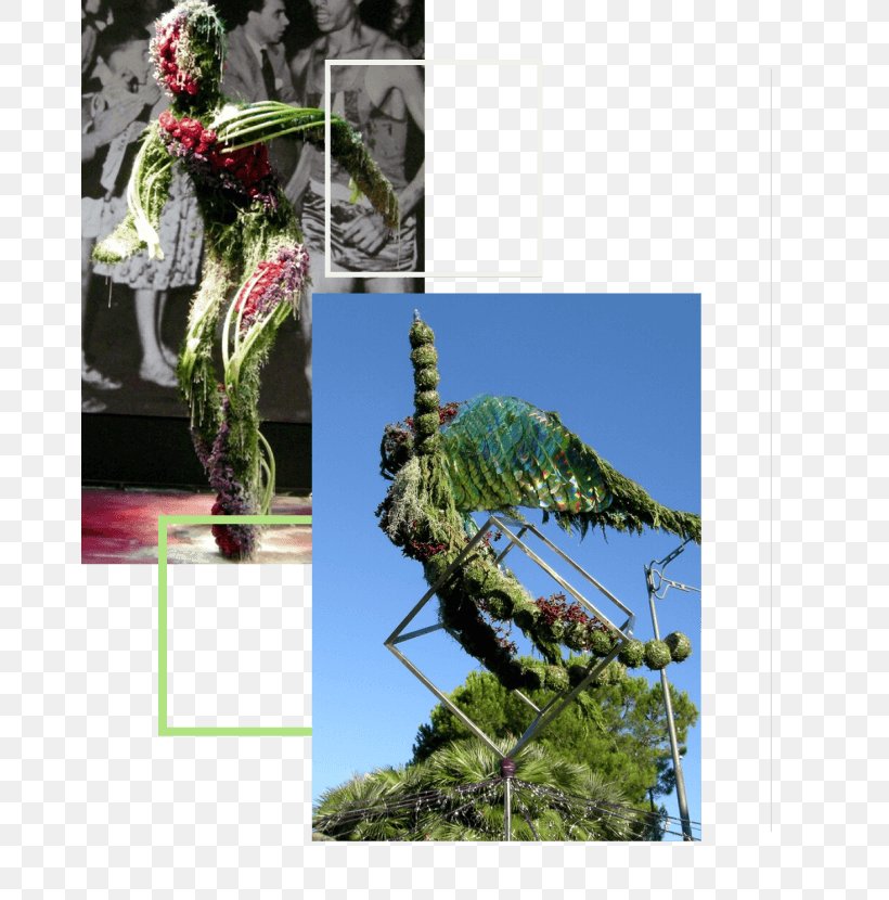 Fiori E Idee Marilena Plant Tree Flower Sculpture, PNG, 670x830px, Fiori E Idee Marilena, Cortona, Floral Design, Flower, Houseplant Download Free
