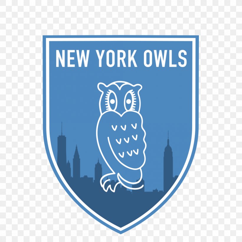 Owl Niall's On 52nd Sheffield Wednesday F.C. Football Factory At Legends Logo, PNG, 1000x1000px, Owl, Area, Bird, Bird Of Prey, Blue Download Free