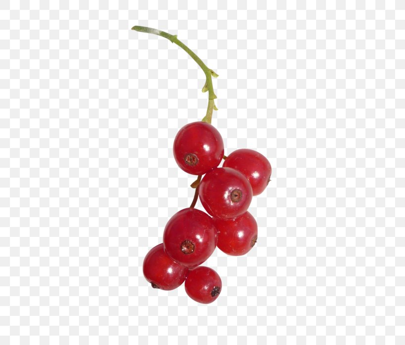 Redcurrant Berries Fruit Clip Art, PNG, 433x699px, Redcurrant, Accessory Fruit, Berries, Berry, Blackcurrant Download Free