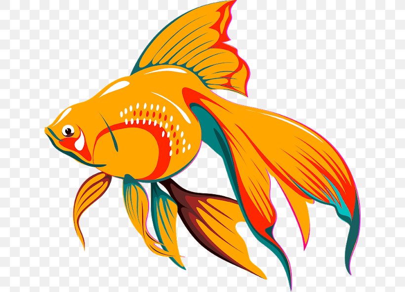 Goldfish Koi Aquarium Clip Art, PNG, 640x591px, Goldfish, Aquarium, Bony Fish, Common Carp, Drawing Download Free