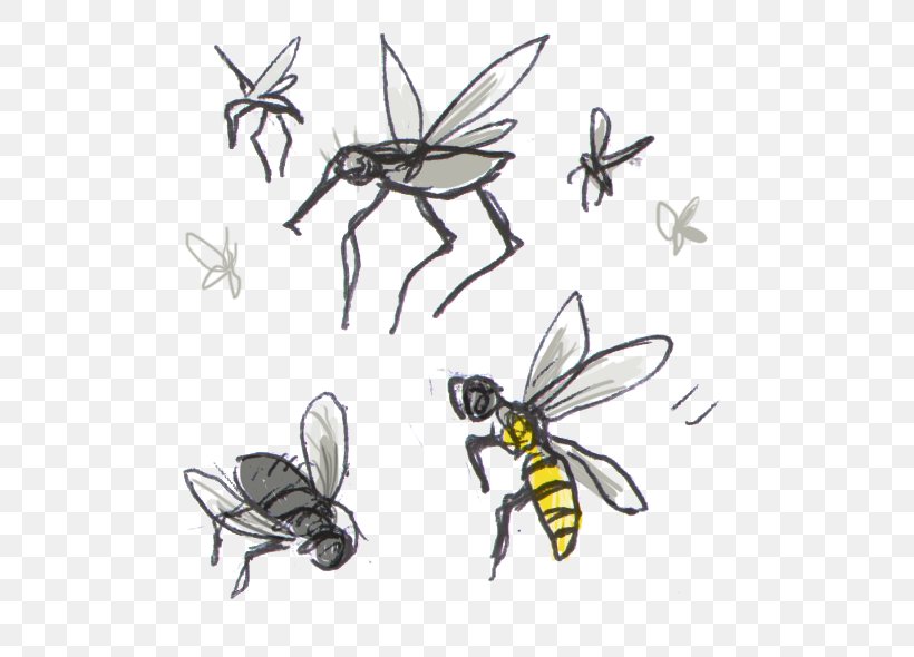 Honey Bee Clip Art Insect Bites And Stings, PNG, 578x590px, Honey Bee, Arthropod, Artwork, Bee, Black And White Download Free