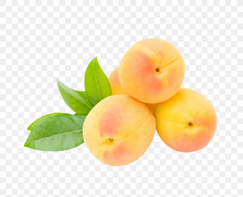 Peach Nutrient Apricot Fruit Food, PNG, 1228x1000px, Peach, Apricot, Auglis, Diet Food, Dietary Fiber Download Free