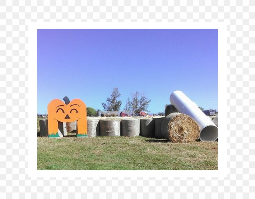 Farm Goat Corn Maze Ranch Hay, PNG, 926x724px, Farm, Big Bertha, Blast, Corn Maze, Dragstrip Download Free