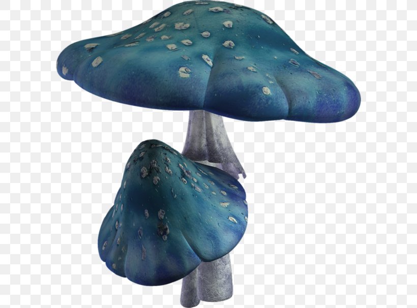 Hot Pot Mushroom Shiitake, PNG, 600x606px, Hot Pot, Blue, Enokitake, Fungus, Mushroom Download Free