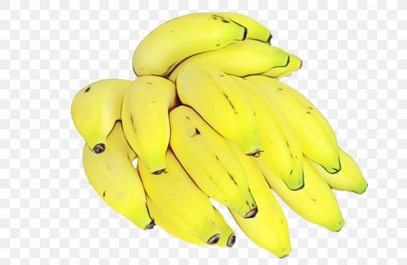 Banana Family Banana Yellow Saba Banana Fruit, PNG, 1109x723px, Watercolor, Banana, Banana Family, Cooking Plantain, Food Download Free