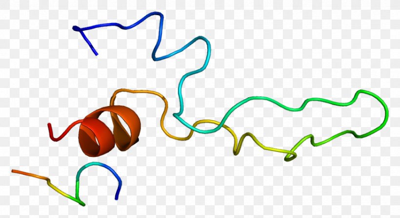 Cholecystokinin A Receptor Cholecystokinin Receptor G Protein–coupled Receptor, PNG, 872x475px, Watercolor, Cartoon, Flower, Frame, Heart Download Free