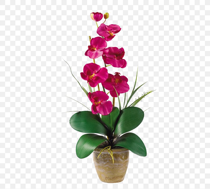 Moth Orchids Artificial Flower Floristry Nearly Natural, Inc., PNG, 400x741px, Moth Orchids, Anthurium, Artificial Flower, Black, Boat Orchid Download Free