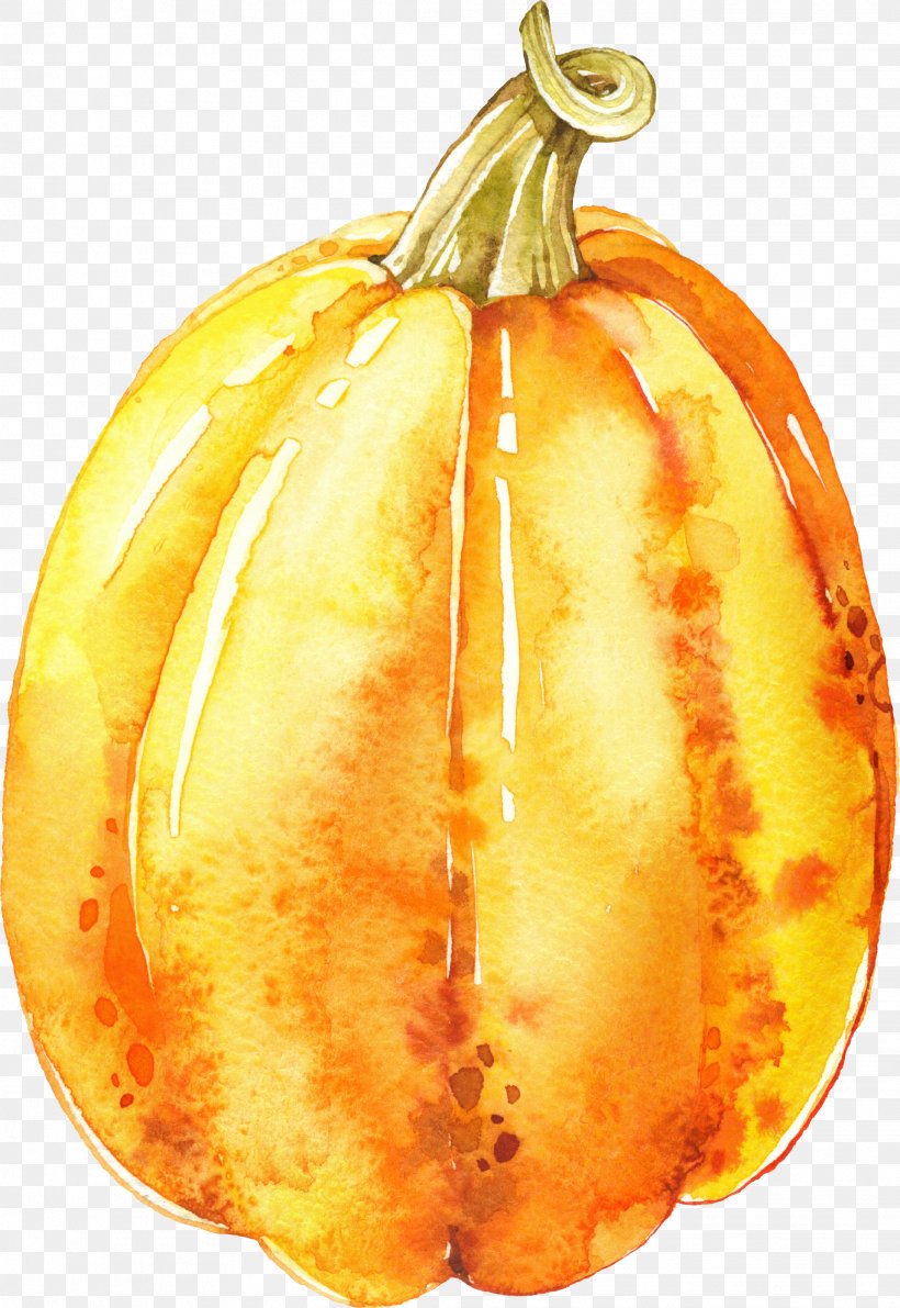 Pumpkin Calabaza Vegetarian Cuisine Gourd Winter Squash, PNG, 2028x2947px, Pumpkin, Autumn, Calabaza, Cauliflower, Commodity Download Free