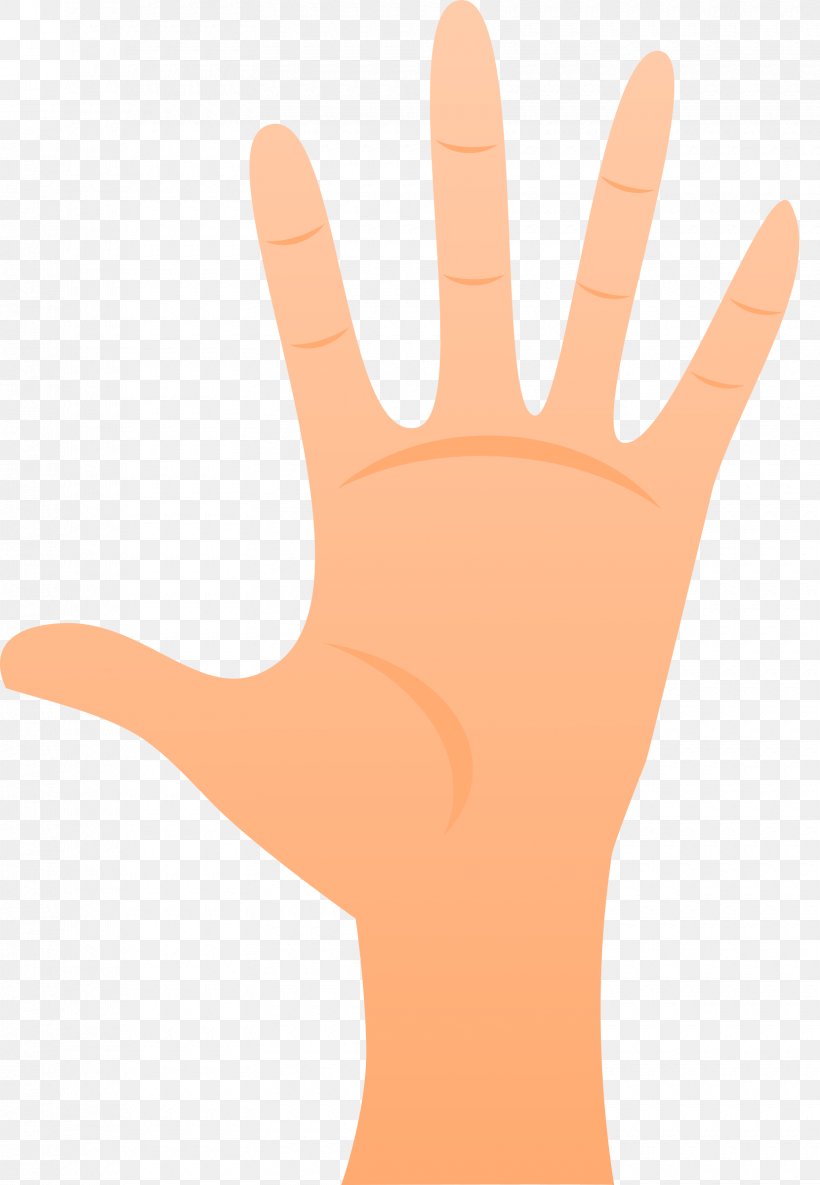 Thumb Hand Model Glove Line, PNG, 1660x2400px, Thumb, Animated Cartoon, Arm, Finger, Glove Download Free