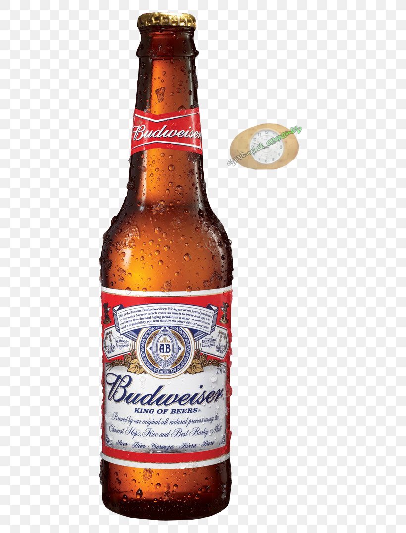 Budweiser Beer Anheuser-Busch Lager Distilled Beverage, PNG, 452x1076px, Budweiser, Alcoholic Beverage, Alcoholic Drink, Ale, American Lager Download Free