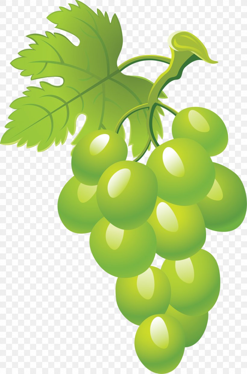 Grape Sultana Clip Art, PNG, 2352x3559px, Vegetable, Flowering Plant, Food, Fruit, Grape Download Free