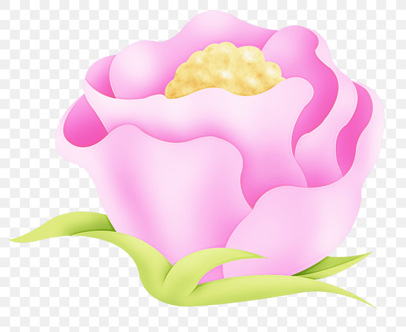 Pink Petal Plant Flower Cloud, PNG, 800x671px, Pink, Cloud, Flower, Petal, Plant Download Free