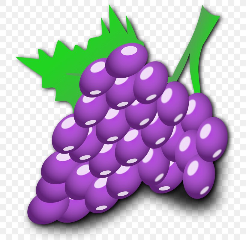 Common Grape Vine Cartoon Clip Art, PNG, 800x800px, Common Grape Vine, Animation, Berry, Cartoon, Drawing Download Free
