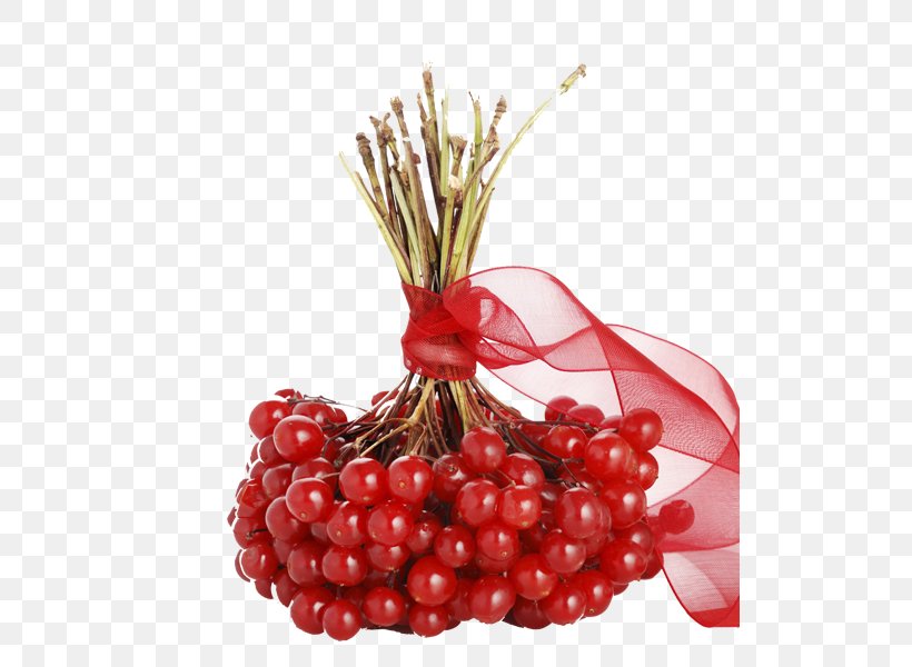 Cranberry Pink Peppercorn Still Life Photography, PNG, 510x600px, Cranberry, Auglis, Berry, Food, Fruit Download Free
