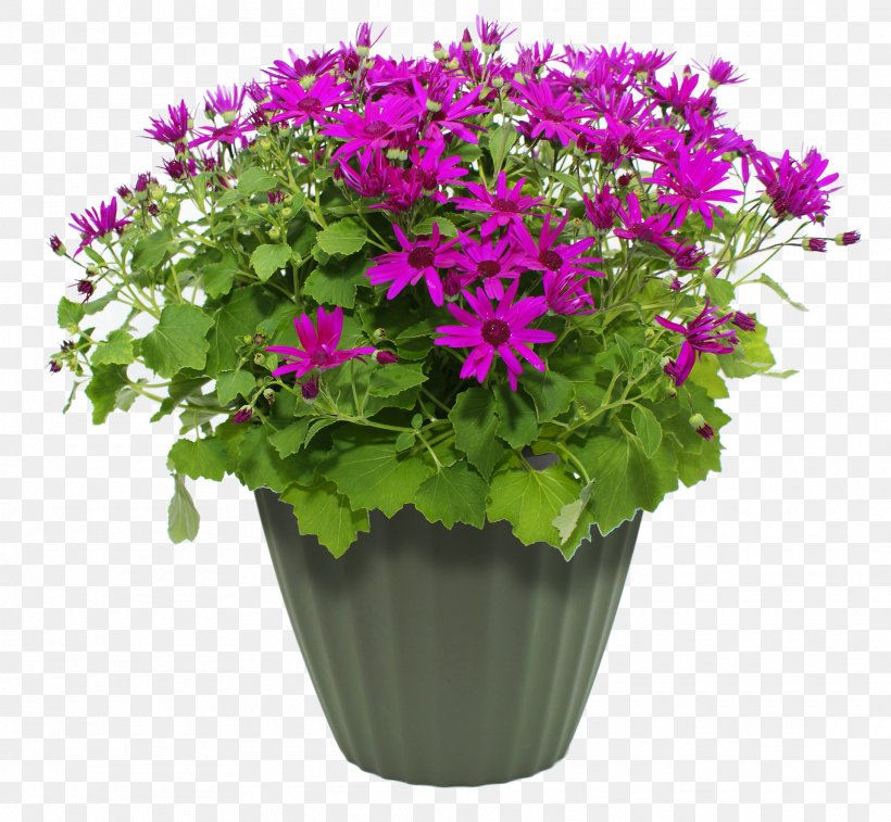 Flowerpot Container Garden Plant, PNG, 1920x1773px, Flowerpot, Annual Plant, Chrysanths, Container Garden, Cut Flowers Download Free