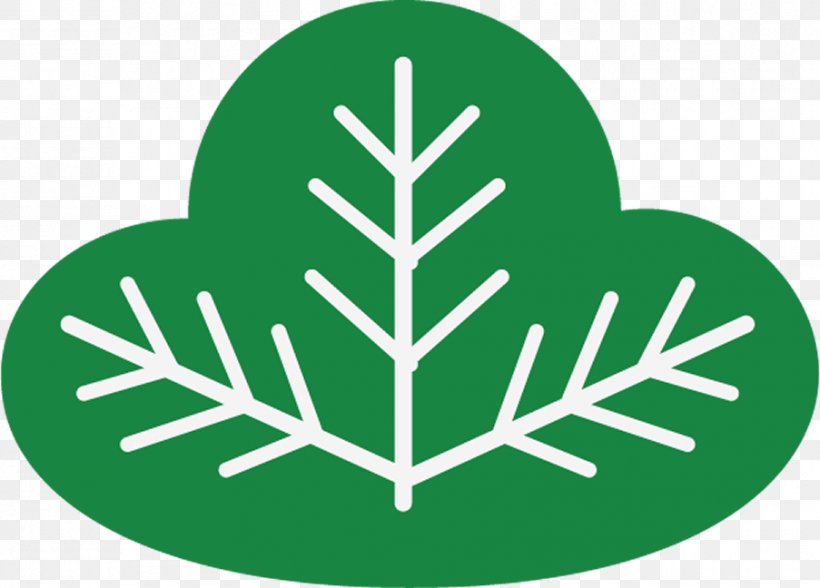 Green Leaf Grass Plant Symbol, PNG, 903x648px, Green, Grass, Leaf, Logo, Plant Download Free