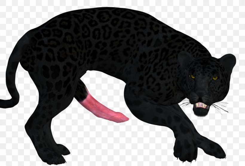 Leopard Cat Animal Puma Wildlife, PNG, 1017x690px, Animal, Animal Figure, Big Cats, Black Download