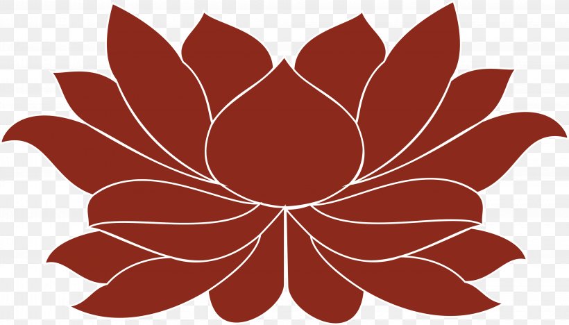 Petal Floral Design Symmetry Pattern, PNG, 4070x2324px, Petal, Floral Design, Flower, Flowering Plant, Leaf Download Free