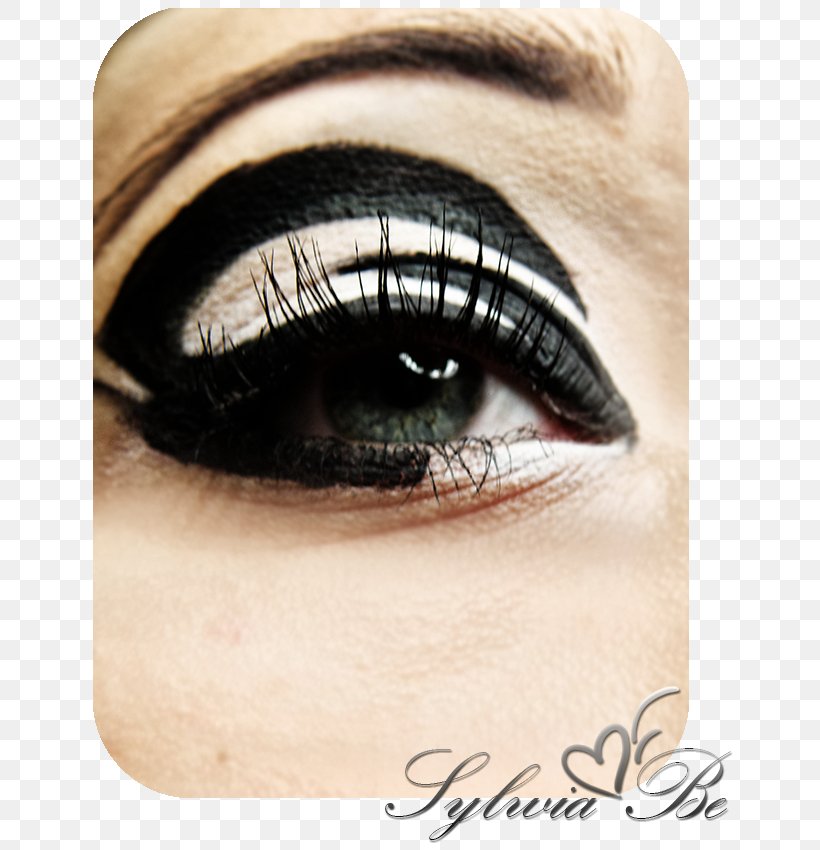 Eyelash Extensions Eye Liner Eye Shadow Lip Liner, PNG, 650x850px, Watercolor, Cartoon, Flower, Frame, Heart Download Free