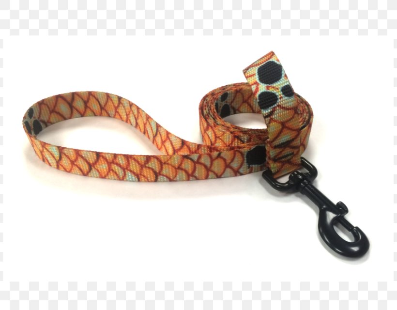 Leash Dog Reptile Belt Jewellery, PNG, 808x640px, Leash, Belt, Dog, Fashion Accessory, Jewellery Download Free