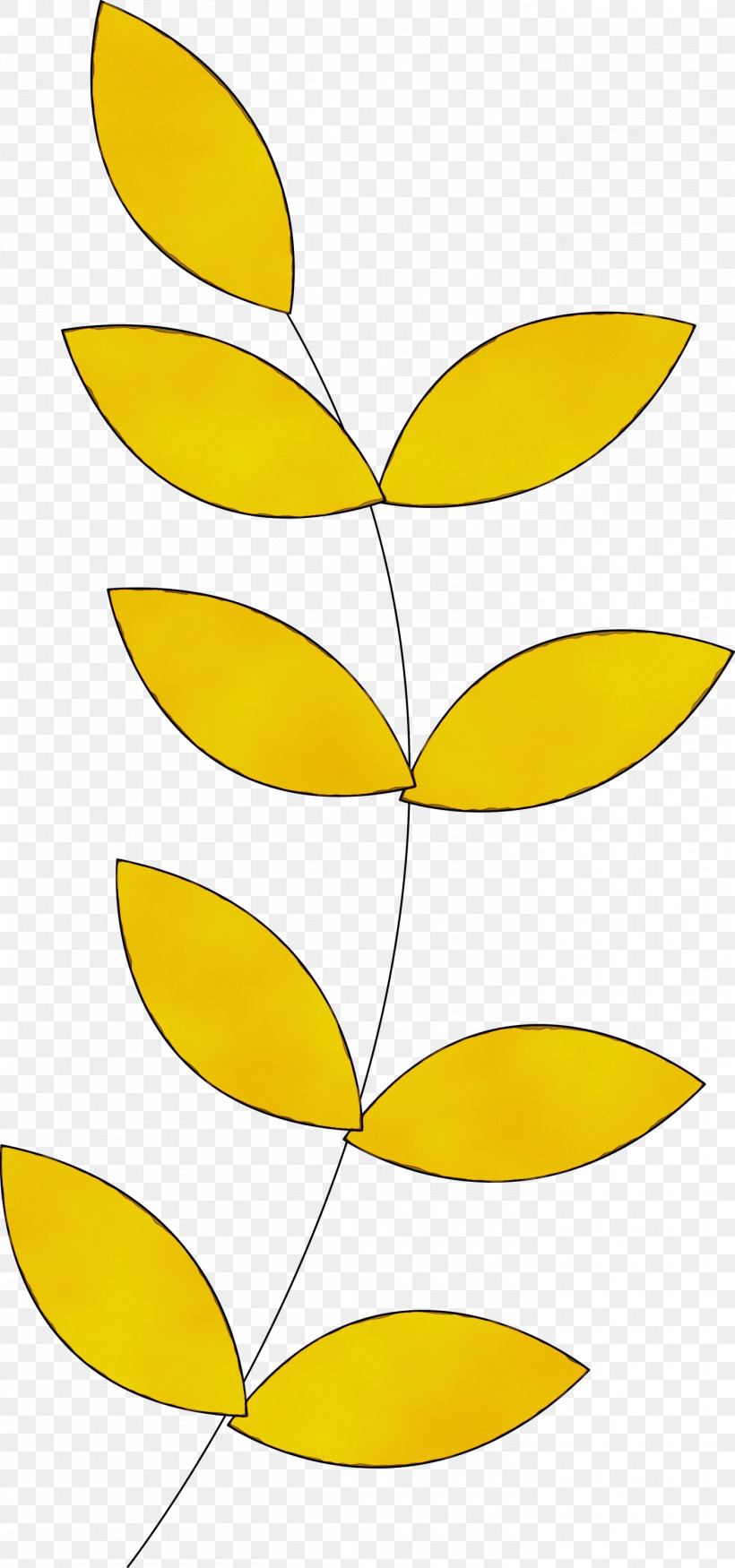 Plant Stem Petal Line Art Leaf Angle, PNG, 1405x3000px, Watercolor, Angle, Area, Commodity, Leaf Download Free