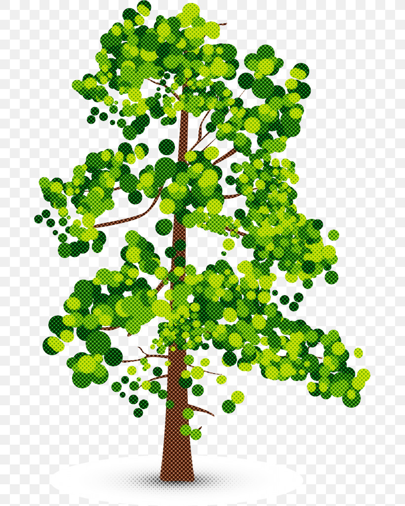 Plant Tree Green Flower Leaf, PNG, 681x1024px, Plant, Branch, Flower, Green, Leaf Download Free