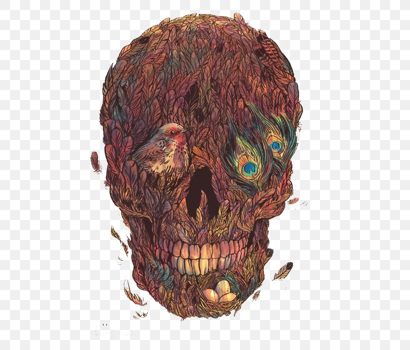 Skull Calavera Drawing Art, PNG, 495x700px, Skull, Art, Bone, Calavera, Day Of The Dead Download Free