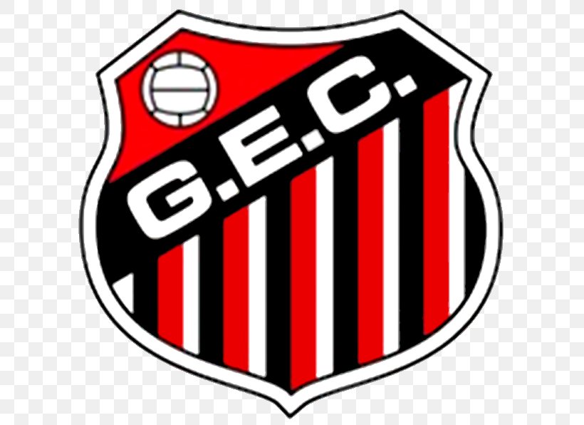 Campeonato Capixaba Guarapari Esporte Clube Estrela Do Norte Futebol Clube Associação Desportiva Ferroviária Vale Do Rio Doce Cachoeiro Futebol Clube, PNG, 646x596px, Campeonato Capixaba, Area, Brand, Football, Logo Download Free