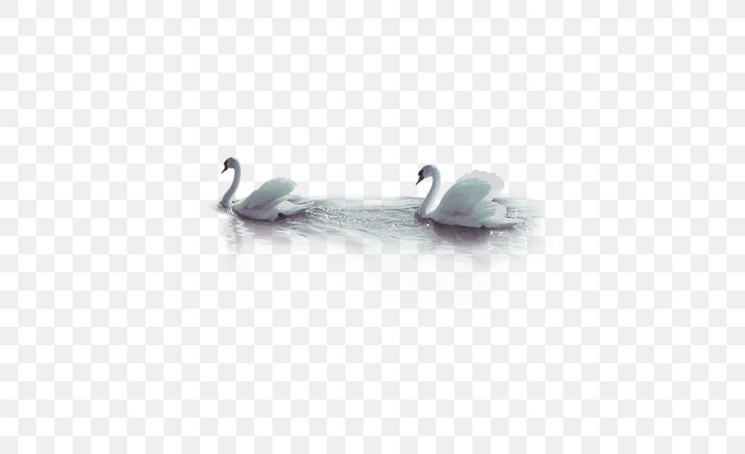 Cygnini Goose Duck, PNG, 500x500px, Cygnini, Bird, Computer Graphics, Duck, Ducks Geese And Swans Download Free