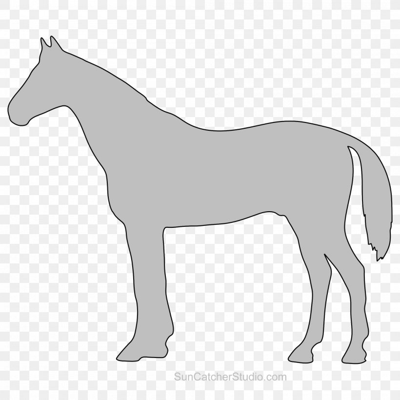 Mule Foal Stallion Mare Colt, PNG, 2000x2000px, Mule, Animal Figure, Black And White, Bridle, Colt Download Free