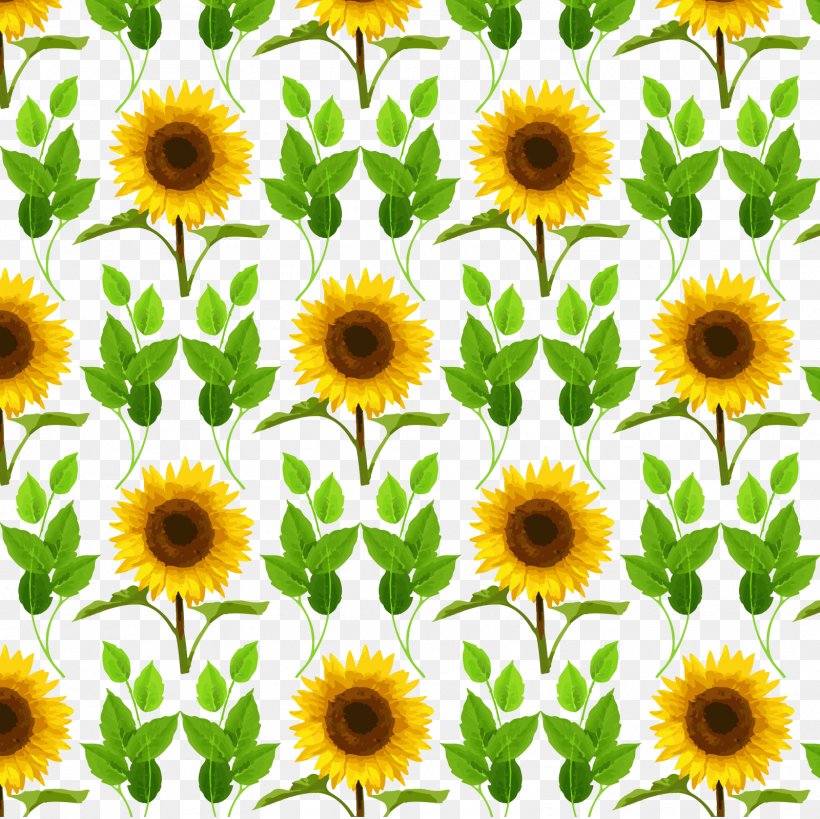 Common Sunflower Mother's Day, PNG, 1600x1600px, Mother S Day, Annual Plant, Common Sunflower, Cut Flowers, Daisy Family Download Free